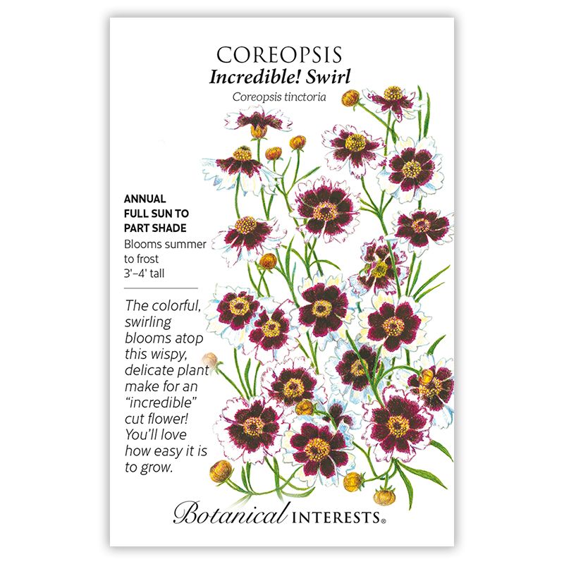 Seed Flwr Coreopsis x Incredible! Swirl/Tickseed
