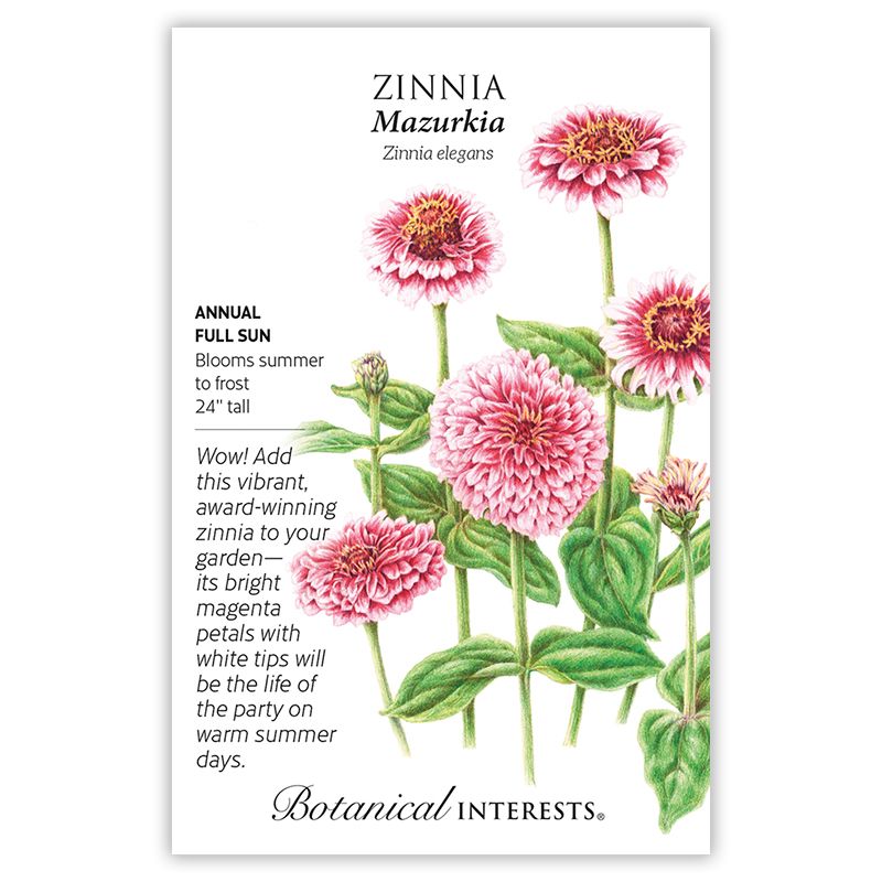 Seed Flwr Zinnia Mazurkia - Zinnia elegans