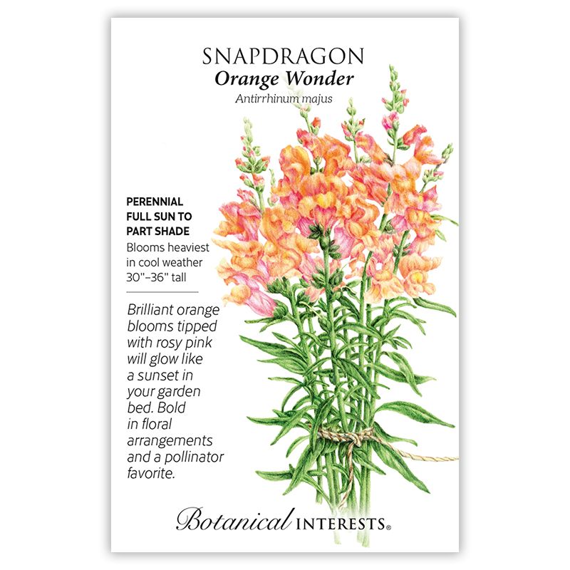 Seed Flwr Snapdragon Orange Wonder - Antirrhinum majus