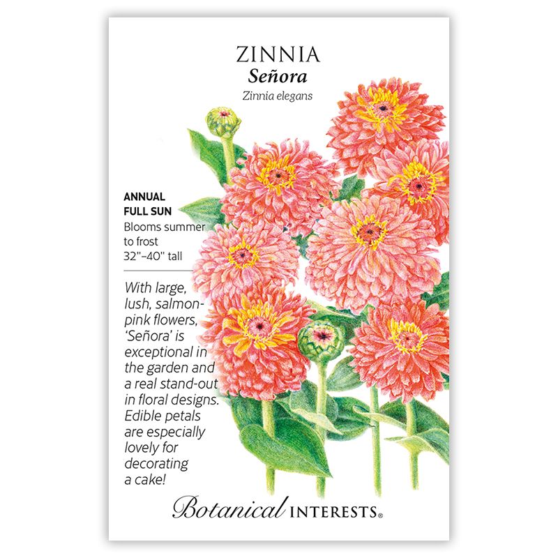 Seed Flwr Zinnia Senora - Zinnia elegans