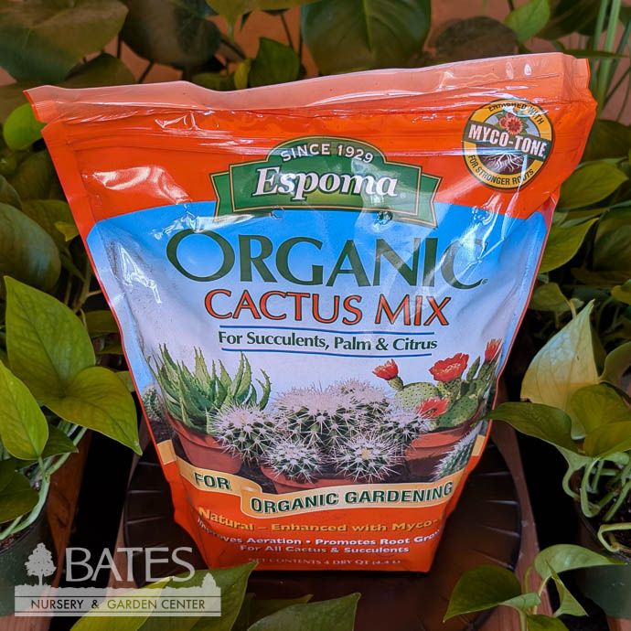 4Qt Organic Cactus Potting Mix/Soil Espoma