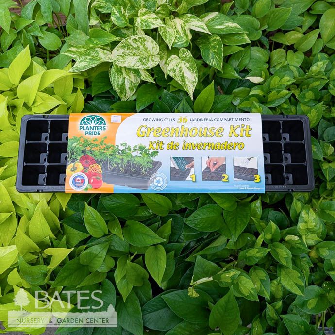 Plastic Greenhouse Seed Starter Kit 36 cells PlantBest