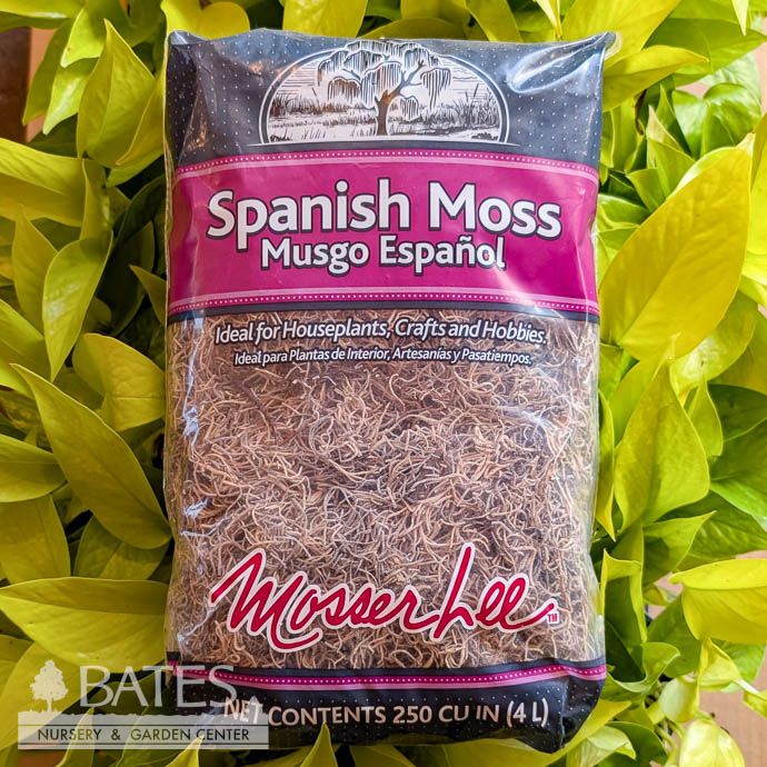 250 Cu In Spanish Moss MosserLee