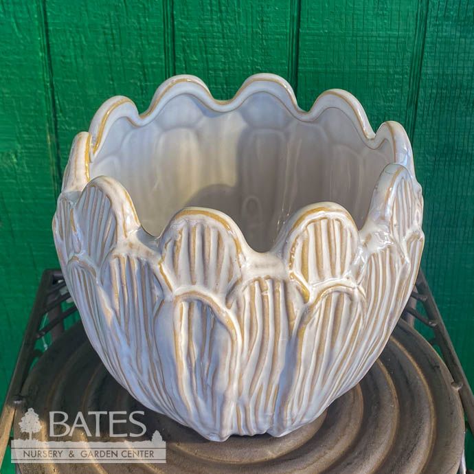 Pot Petal w/Scalloped Rim Sml 7.5x6.5  White