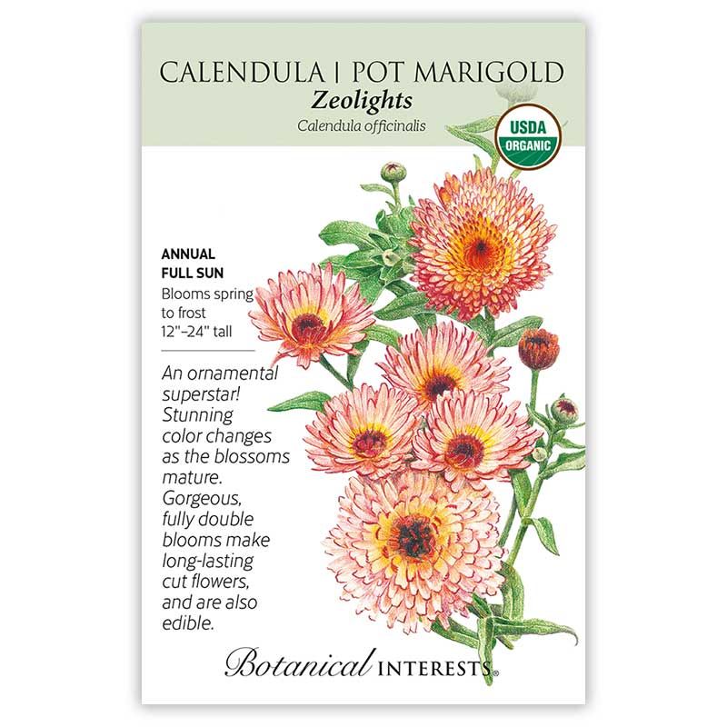 Seed Flwr Calendula Zeolights Organic - Calendula officinalis