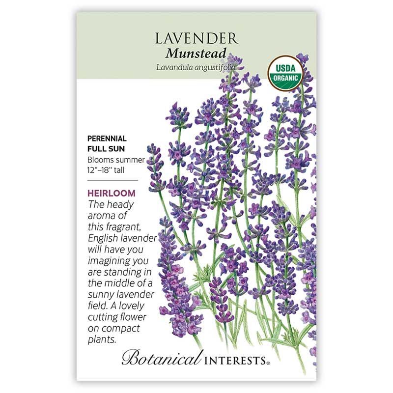 Seed Flwr Lavender Dwarf Munstead Organic Heirloom - Lavandula angustifolia