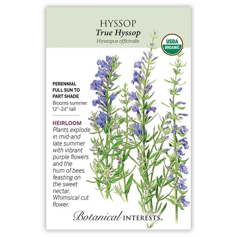 Seed Flwr Hyssop True Organic Heirloom - Hyssopus officinalis