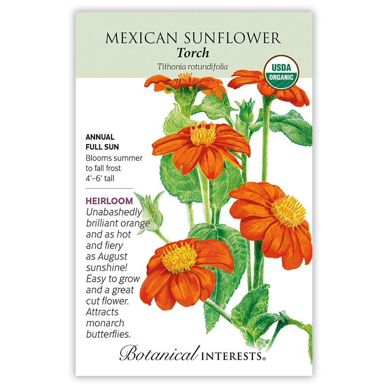Seed Flwr Sunflower Mexican Torch Organic Heirloom - Tithonia rotundifolia