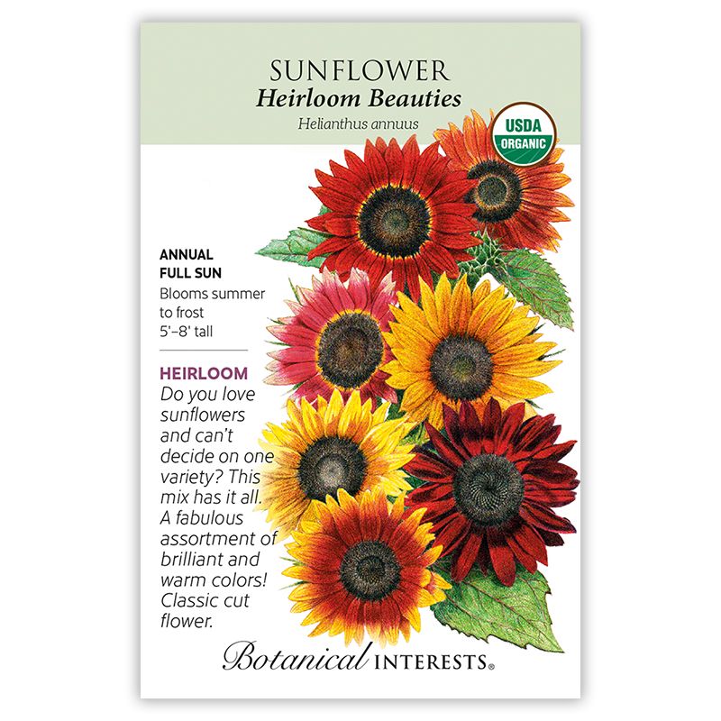 Seed Flwr Sunflower Heirloom Beauties Organic Heirloom - Helianthus annuus Native (TN)