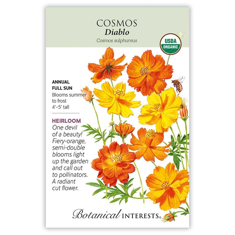 Seed Flwr Cosmos Diablo Organic - Cosmos sulphureus