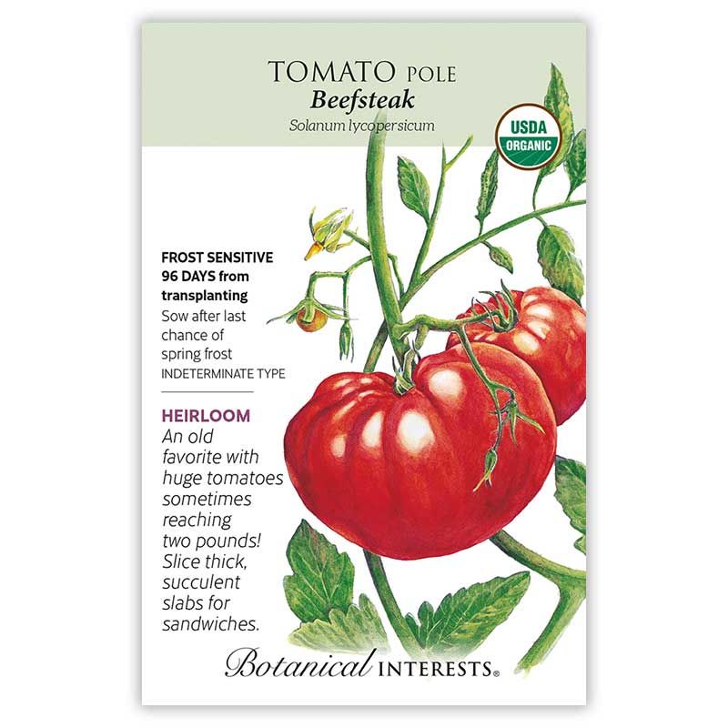 Seed Veg Tomato Pole Beefsteak Organic Heirloom - Lycopersicon lycopersicum