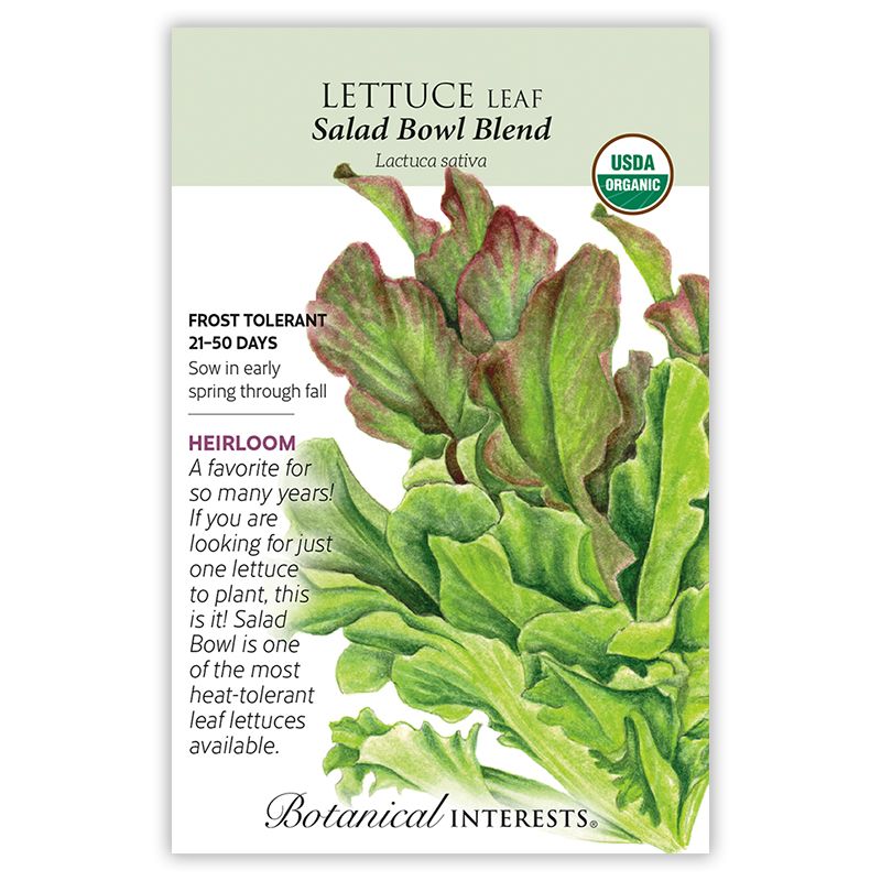 Seed Veg Lettuce Leaf Salad Bowl Blend Organic Heirloom - Lactuca sativa