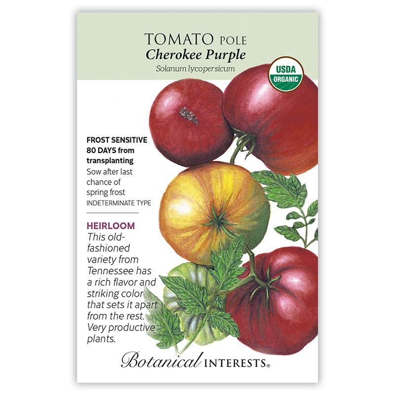 Seed Veg Tomato Pole Cherokee Purple Organic Heirloom - Lycopersicon lycopersicum