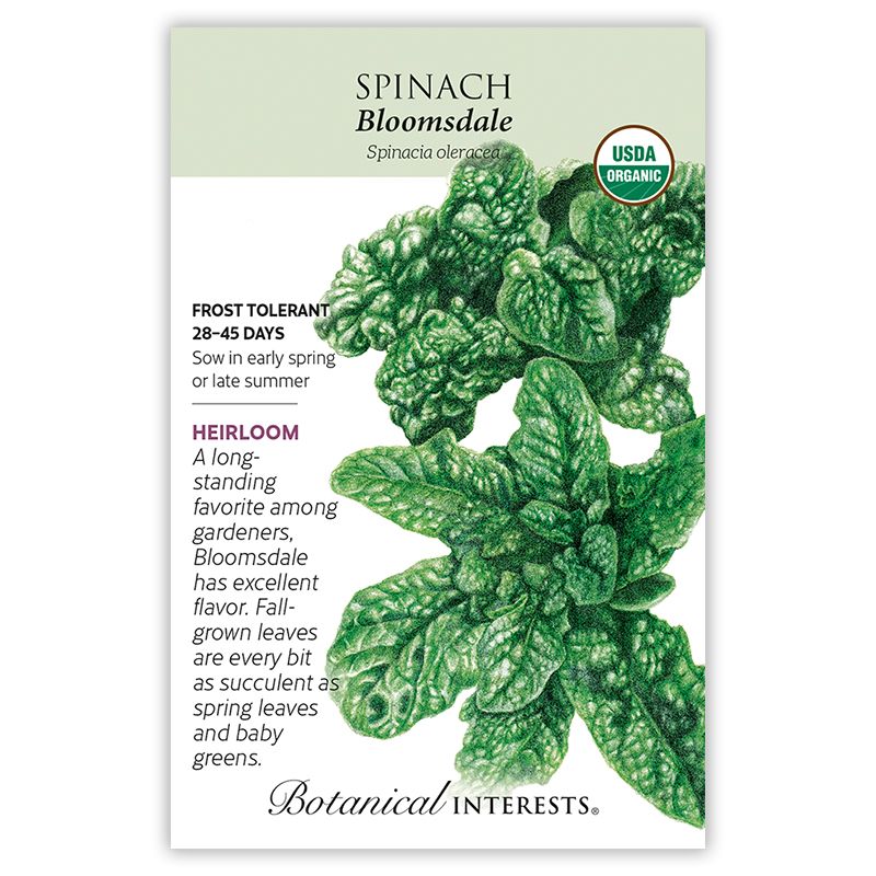 Seed Veg Spinach Bloomsdale Organic Heirloom - Spinacia oleracea