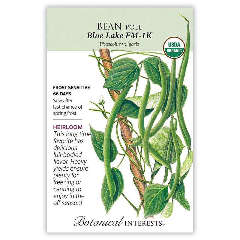 Seed Veg Bean Pole Blue Lake FM-1K Organic Heirloom - Phaseolus vulgaris