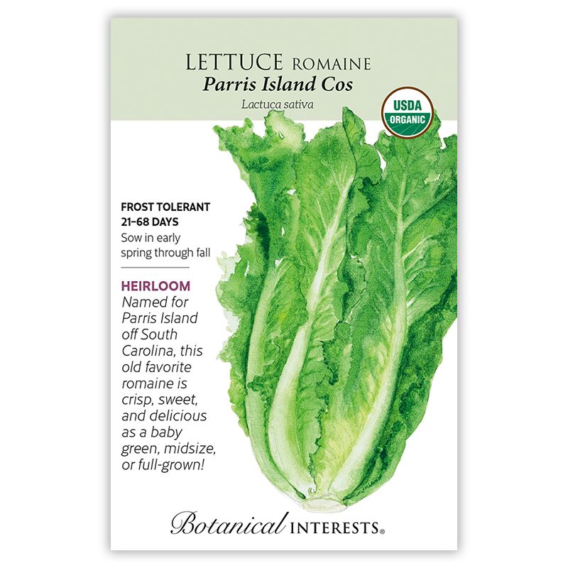 Seed Veg Lettuce Romaine Parris Island Cos Organic Heirloom - Lactuca sativa