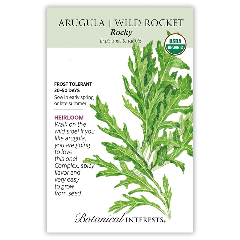 Seed Veg Arugula Wild Rocket Salad Organic Heirloom - Diplotaxis tenuifolia