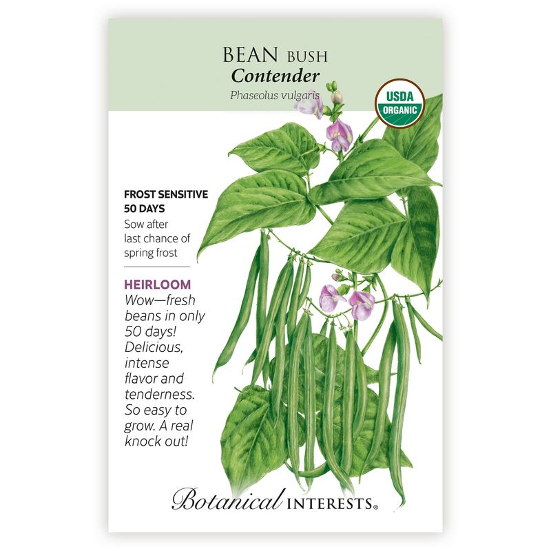 Seed Veg Bean Bush Contender Organic Heirloom - Phaseolus vulgaris