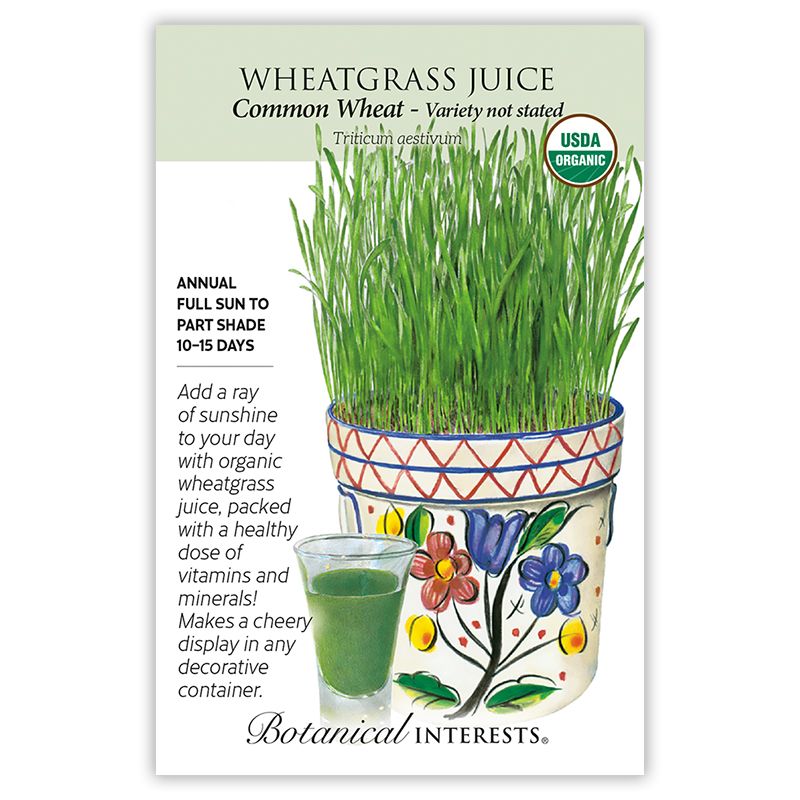 Seed Veg Wheatgrass Juice Common Wheat Organic - Triticum aestivum