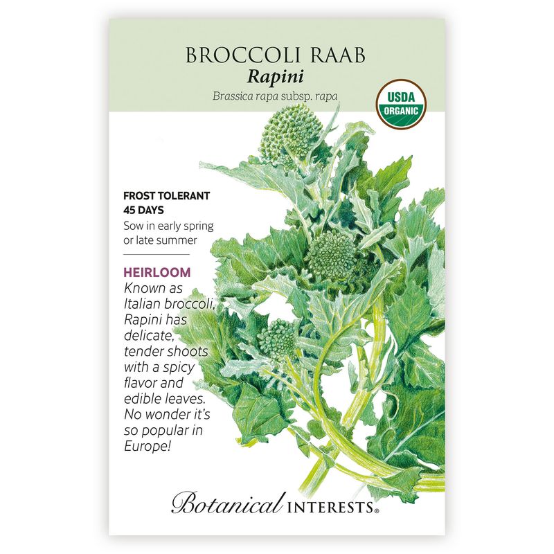 Seed Veg Broccoli Raab Rapini Organic Heirloom - Brassica rapa
