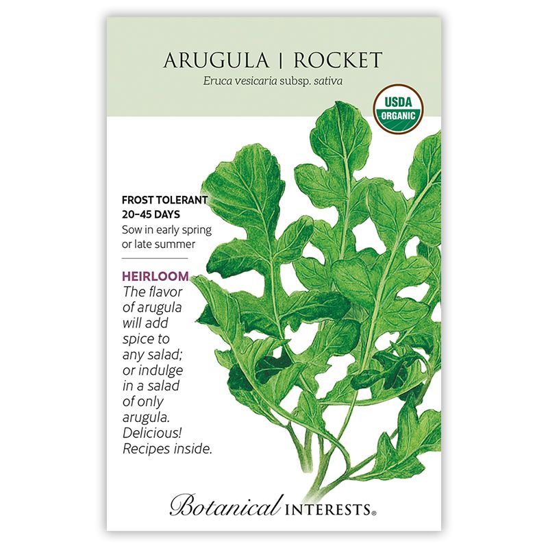 Seed Veg Arugula Rocket Salad Organic Heirloom - Eruca sativa
