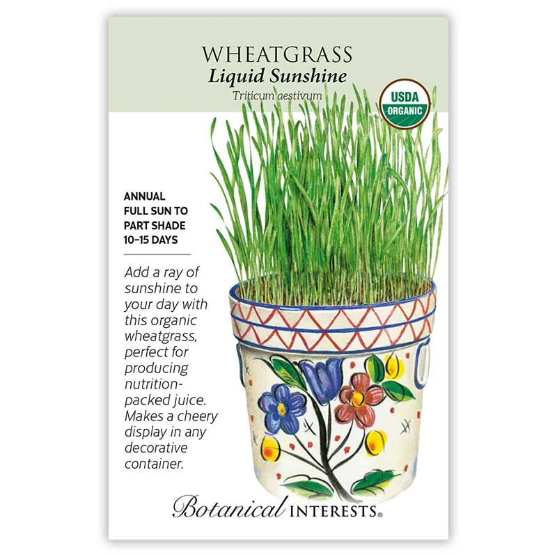 Seed Veg Wheatgrass Juice Common Wheat Organic - Triticum aestivum