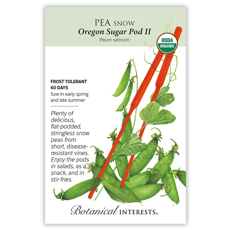 Seed Veg Pea Snow Oregon Sugar Pod II Organic - Pisum sativum