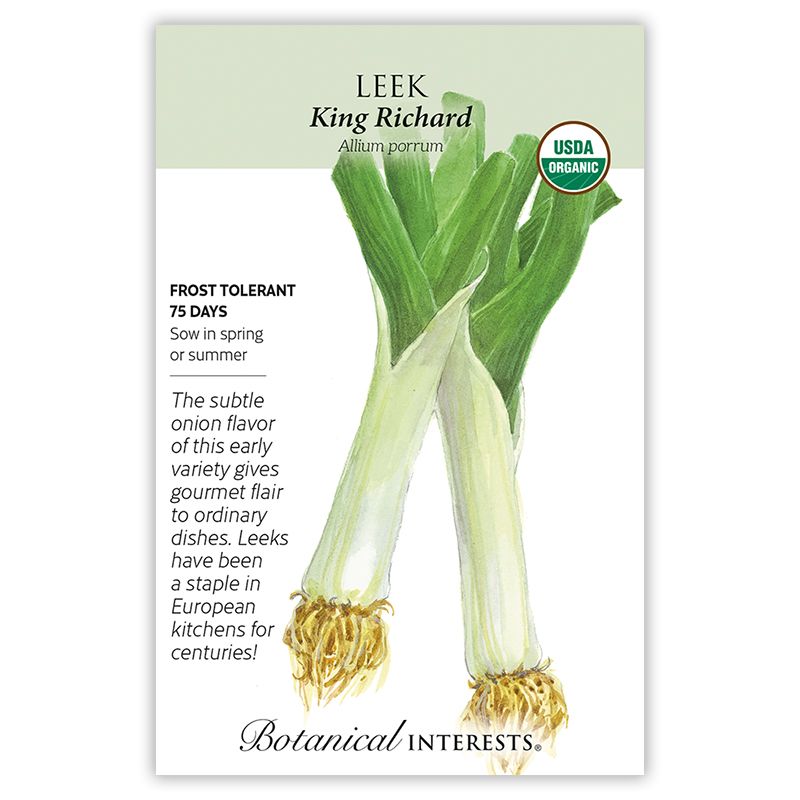 Seed Veg Leek King Richard Organic - Allium ampeloprasum