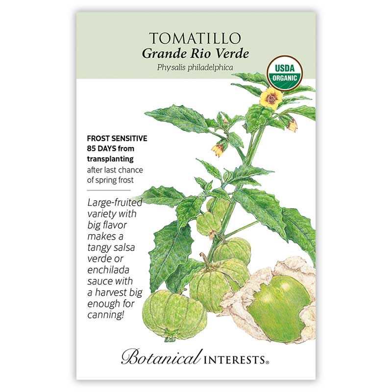 Seed Veg Tomatillo Grande Rio Verde Organic - Physalis philadelphica