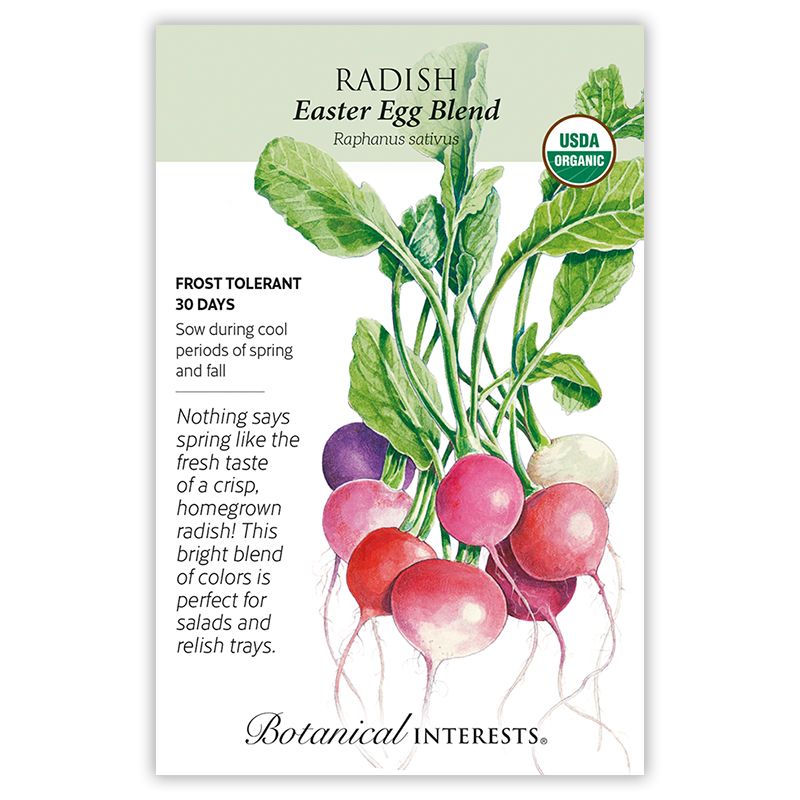 Seed Veg Radish Easter Egg Blend Organic - Raphanus sativus