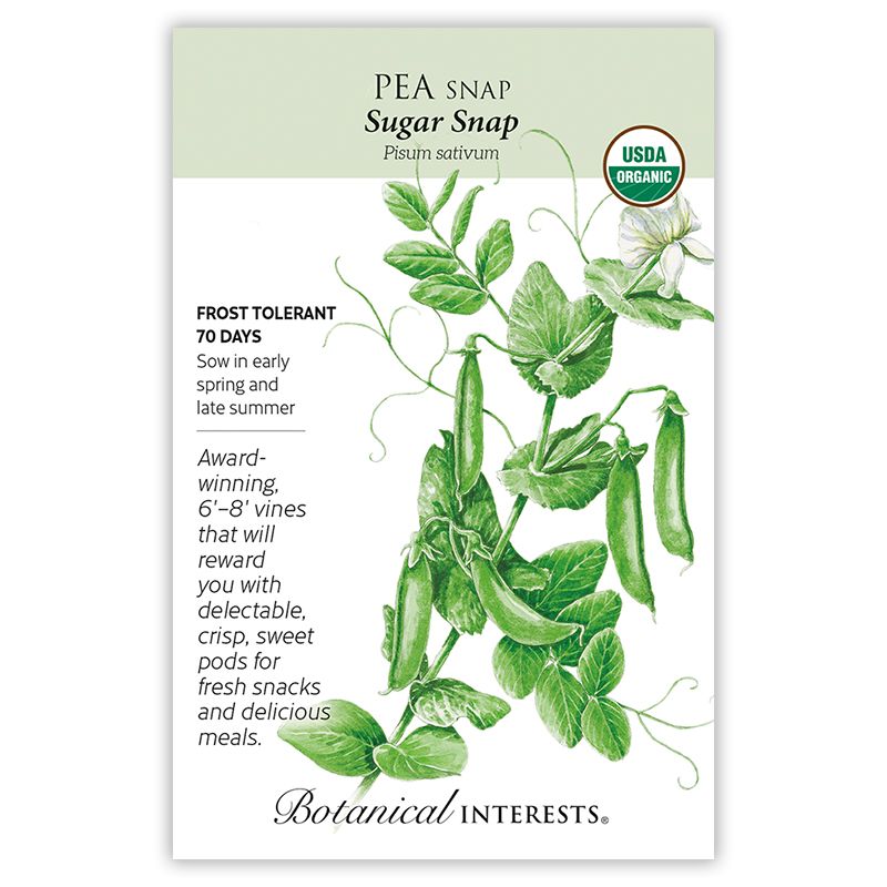 Seed Veg Pea Snap Sugar Snap Organic - Pisum sativum