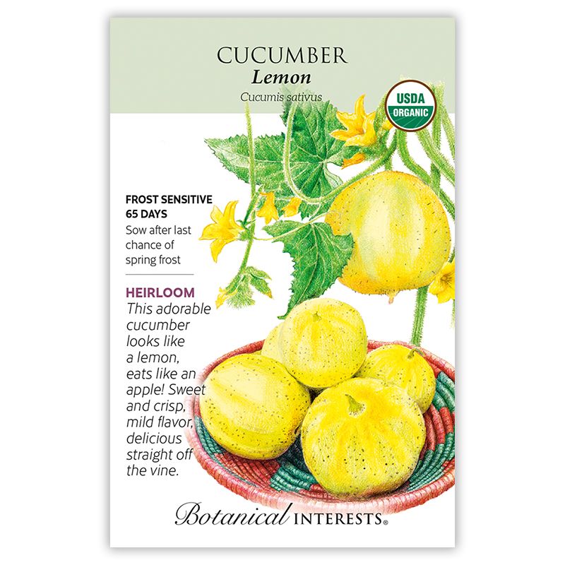 Seed Veg Cucumber Lemon Organic Heirloom - Cucumis sativus