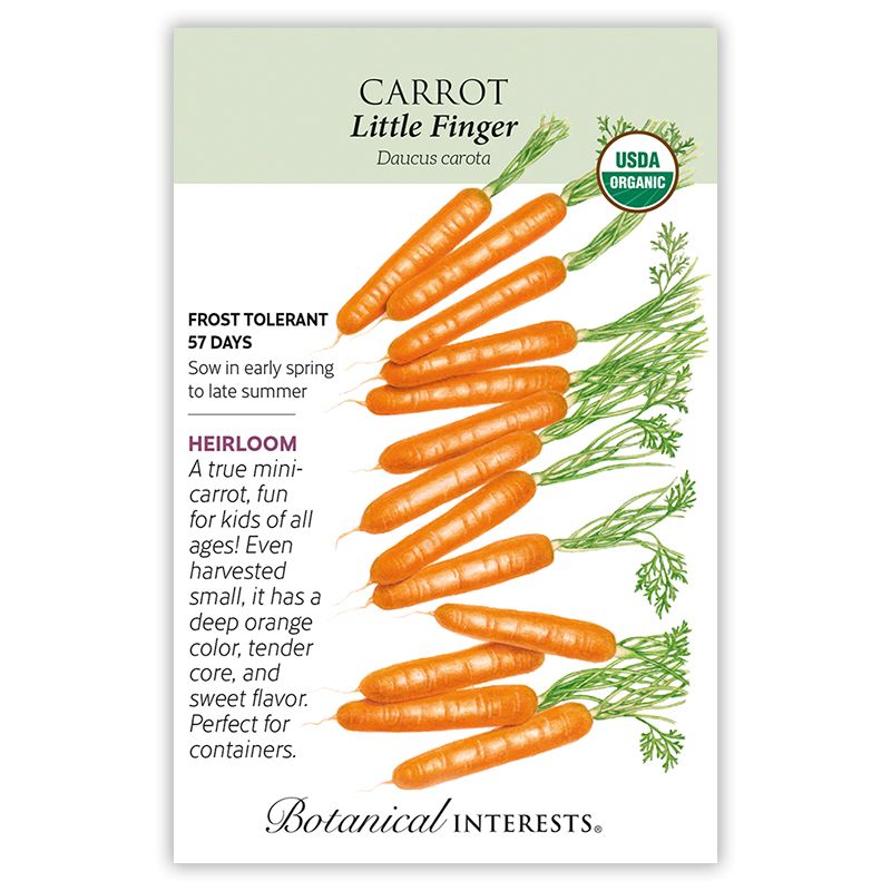 Seed Veg Carrot Little Finger Organic Heirloom - Daucus carota sativus