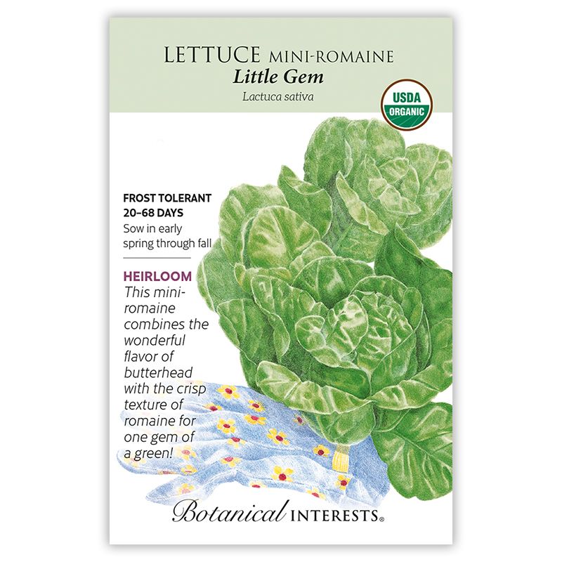 Seed Veg Lettuce Romaine Little Gem Organic Heirloom - Lactuca sativa