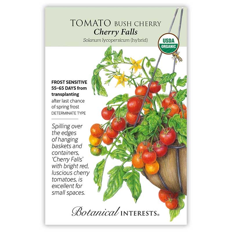Seed Veg Tomato Cherry Cherry Falls Organic - Solanum lycopersicum