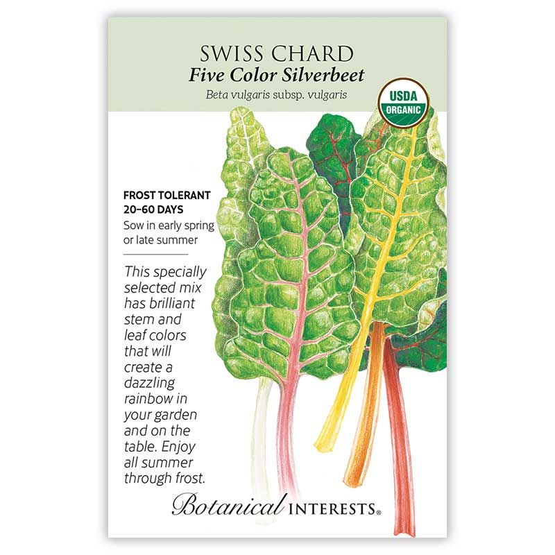 Seed Veg Swiss Chard Five Color Silverbeet Organic - Beta vulgaris (Cicla group)