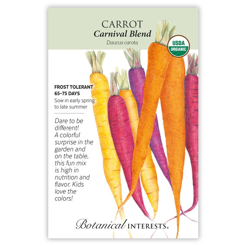 Seed Veg Carrot Carnival Blend Organic - Daucus carota sativus