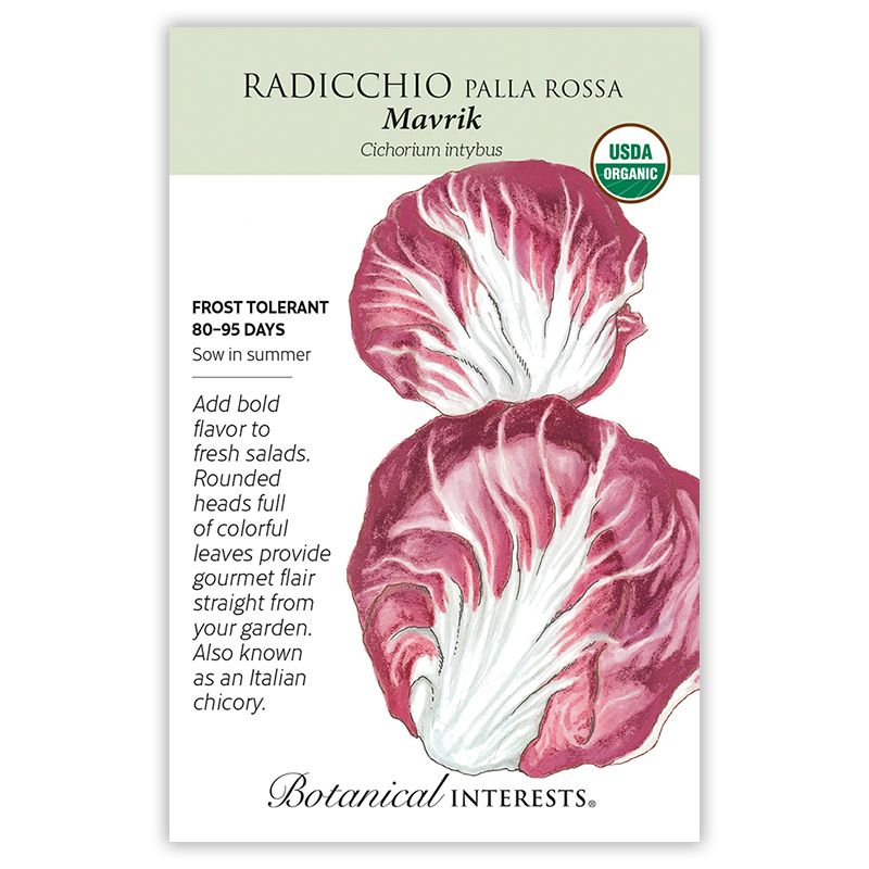 Seed Veg Radicchio Palla Rossa Mavrik Organic - Cichorium intybus