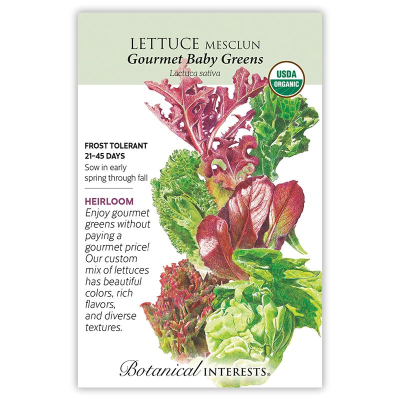 Seed Veg Lettuce Mesclun Gourmet Baby Greens Organic Heirloom - Lactuca sativa