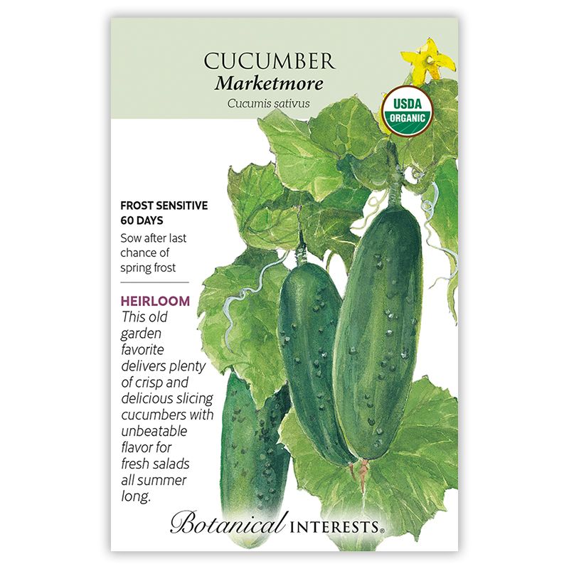 Seed Veg Cucumber Marketmore Organic - Cucumis sativus