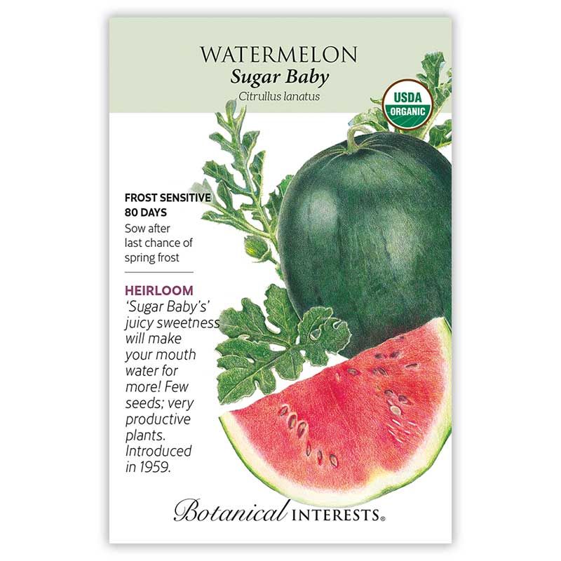 Seed Veg Watermelon Sugar Baby Organic Heirloom - Citrullus lanatus