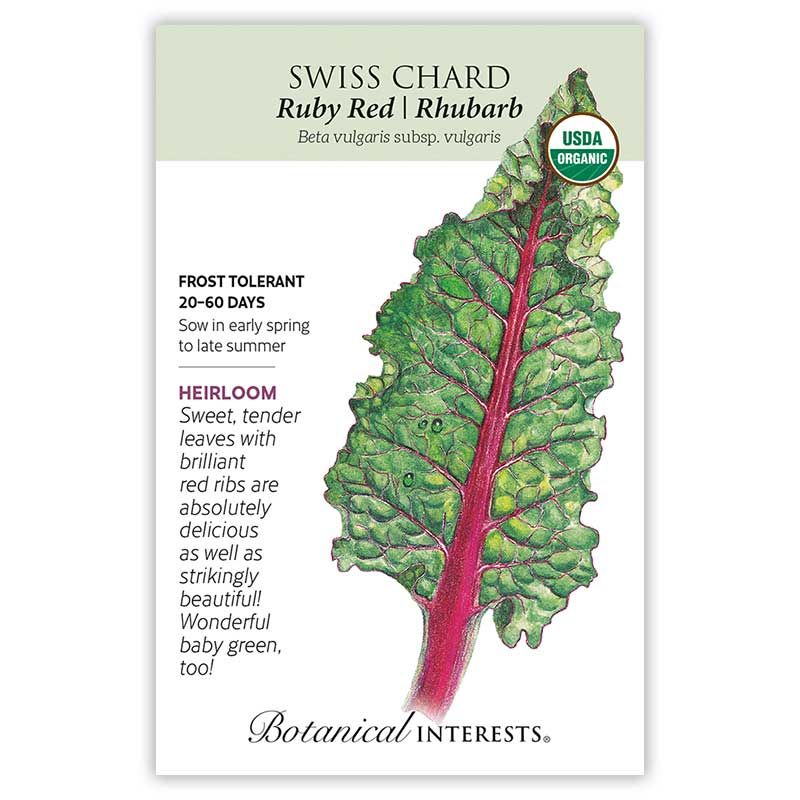 Seed Veg Swiss Chard Ruby Red/Rhubarb Organic Heirloom - Beta vulgaris (Cicla group)