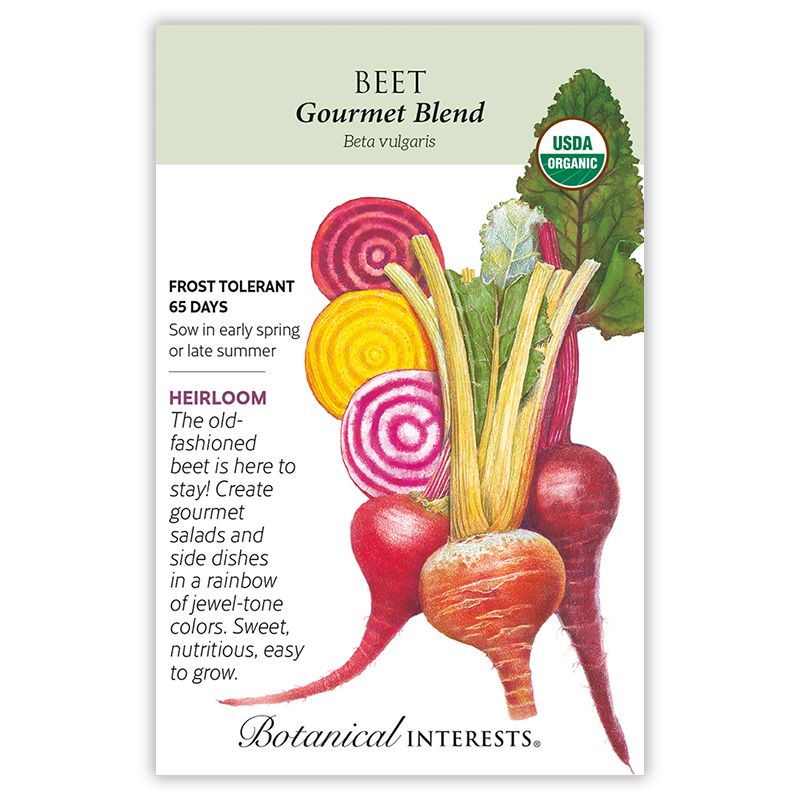 Seed Veg Beet Gourmet Blend Organic Heirloom - Beta vulgaris