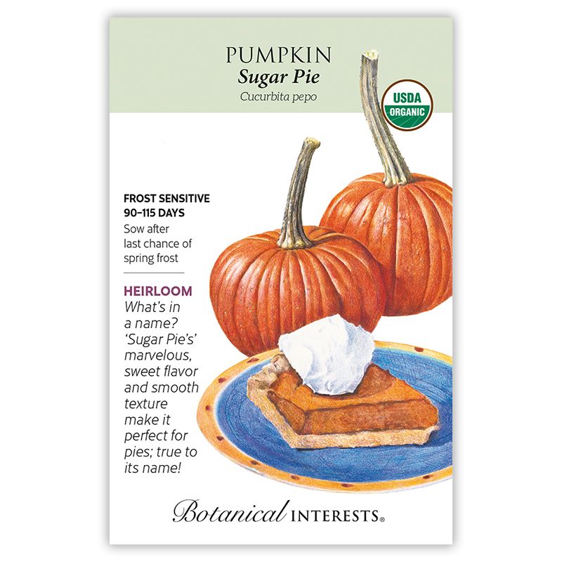Seed Veg Pumpkin Sugar Pie Organic Heirloom - Cucurbita pepo