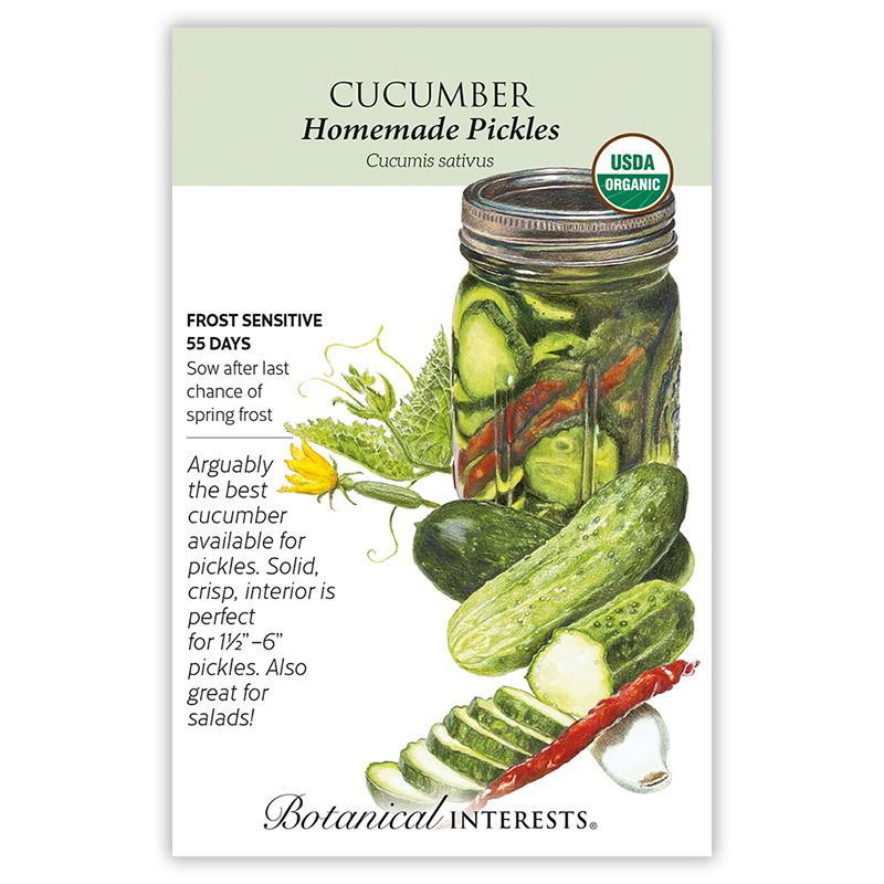 Seed Veg Cucumber Homemade Pickles Organic - Cucumis sativus