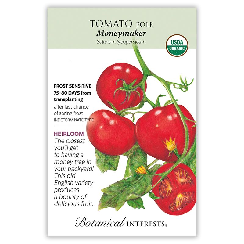 Seed Veg Tomato Pole Moneymaker Organic - Lycopersicon lycopersicum
