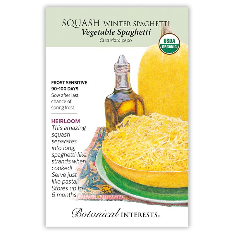 Seed Veg Squash Winter Vegetable Spaghetti Organic Heirloom - Curcurbita pepo