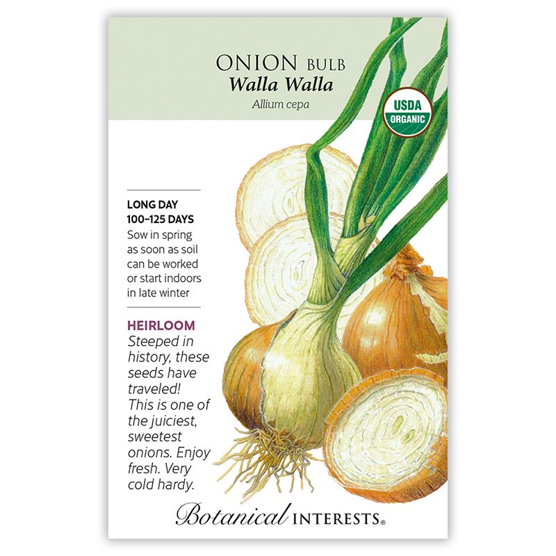 Seed Veg Onion WallaWalla Yellow Organic Heirloom - Allium cepa