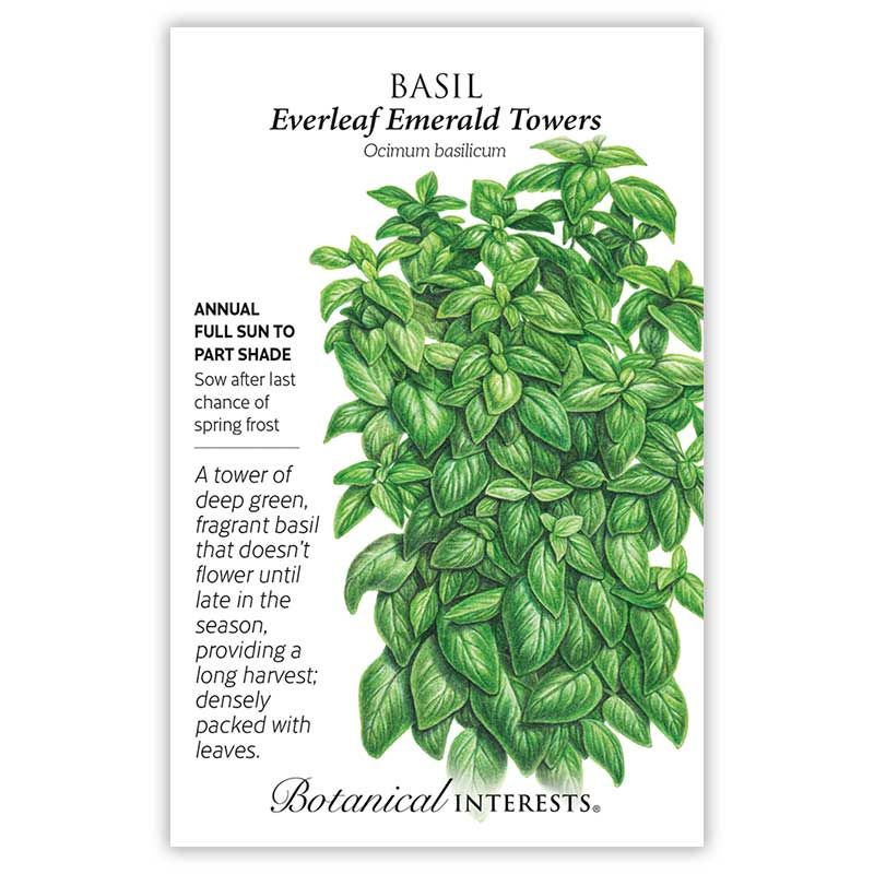 Seed Herb Basil Everleaf Emerald Towers - Ocimum basilicum