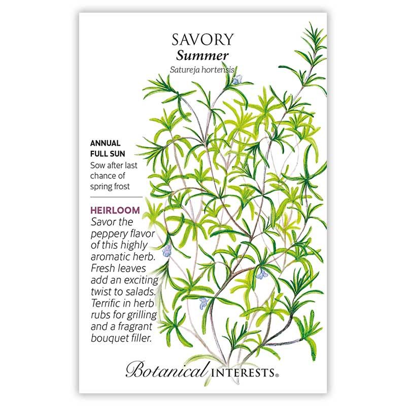 Seed Herb Savory Summer Heirloom - Satureja hortensis